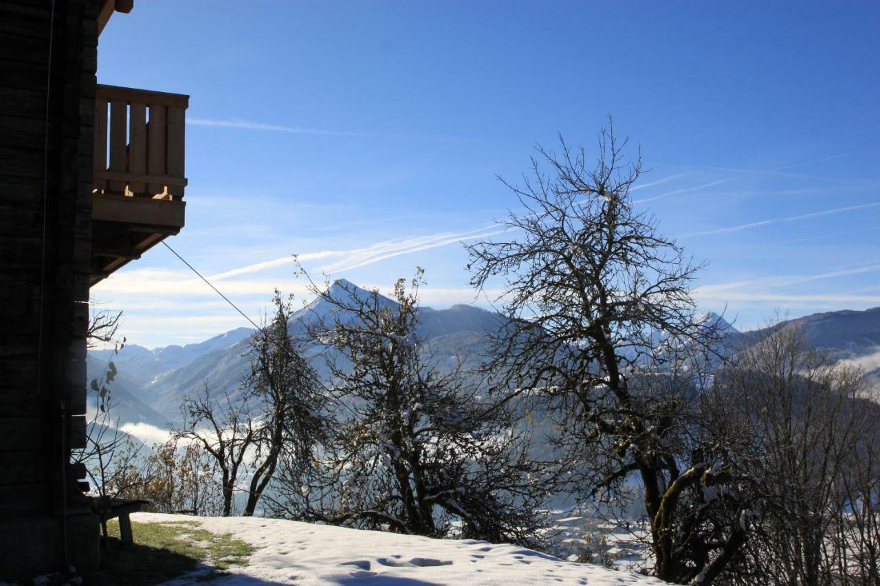 Apartment Poetzelberghof Altenmarkt im Pongau Zewnętrze zdjęcie