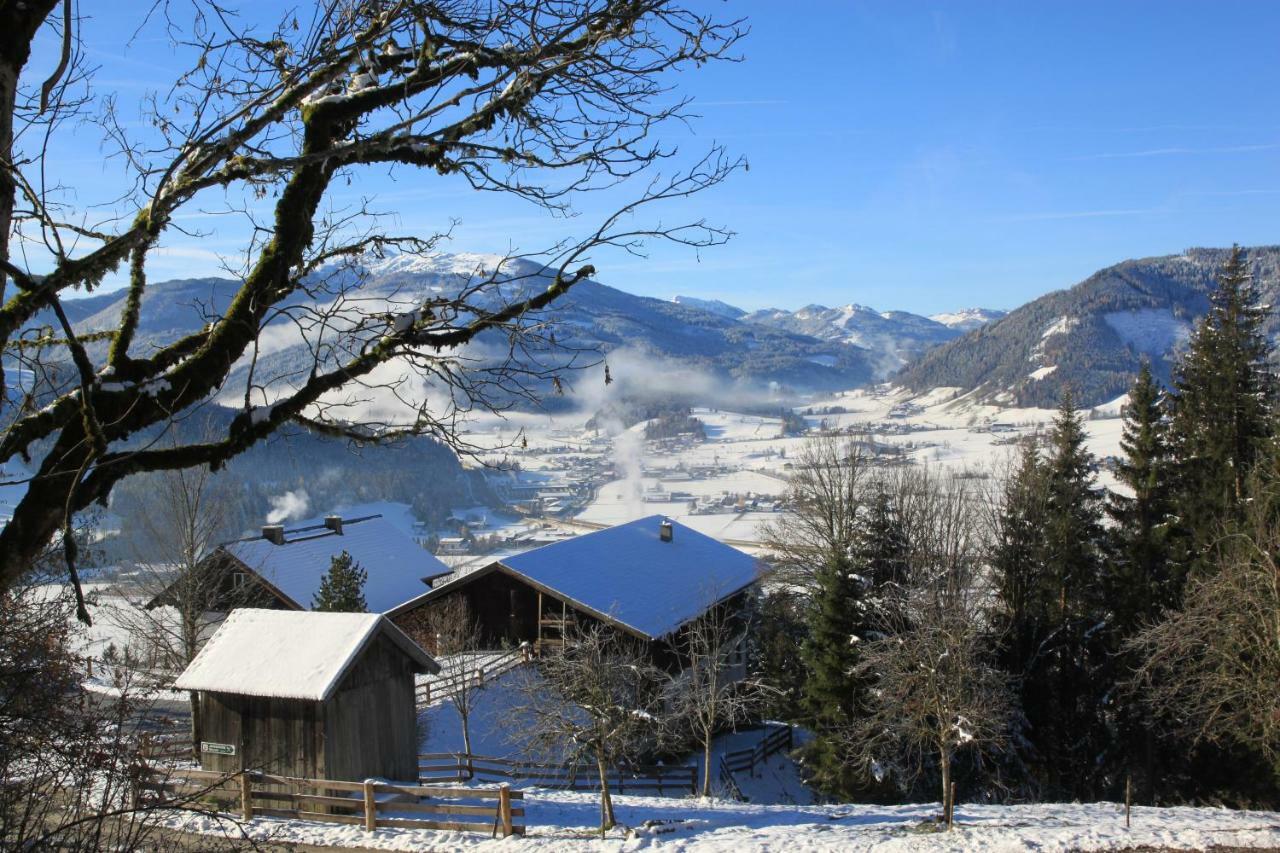 Apartment Poetzelberghof Altenmarkt im Pongau Zewnętrze zdjęcie